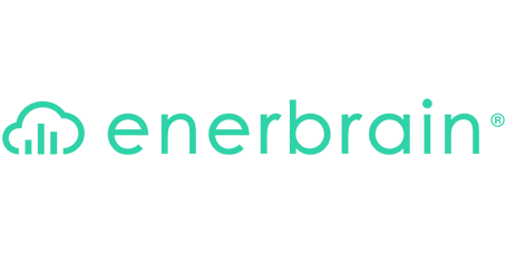 Enerbrain